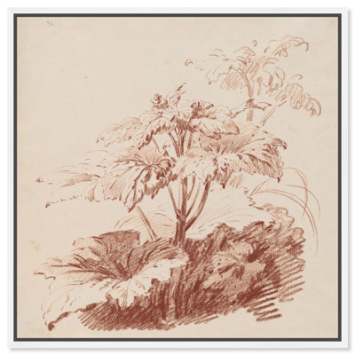 «Red Chalk Plant I», reproduction d'art sur toile par Art Remedy