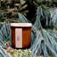 Pine Scented Jar Candle