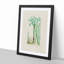 Cactus Illustration - Framed Print-55620956-55620954