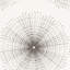 Sundial Fabric