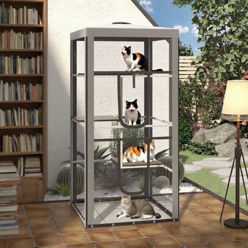 Structure en acier pour chat pour chat