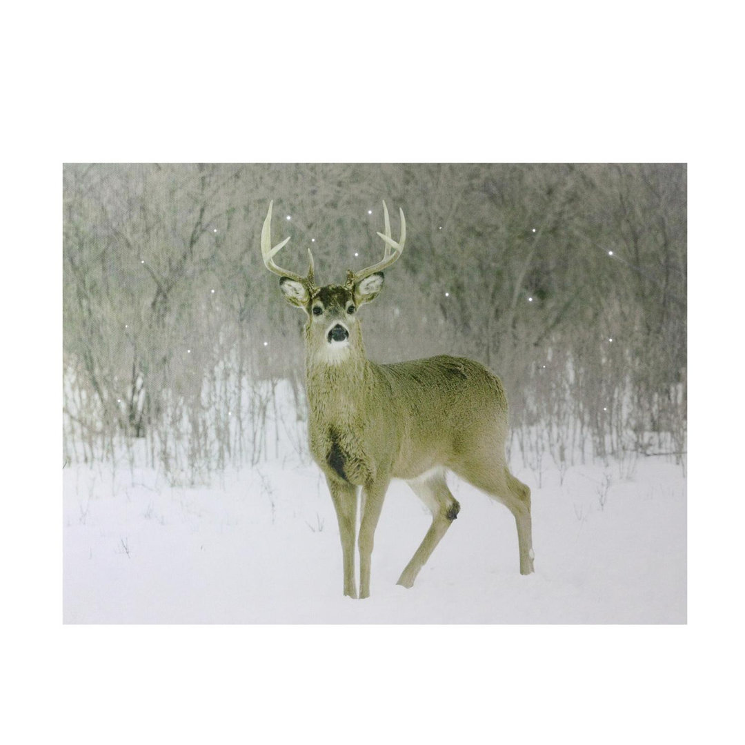 Fiber Optic Lighted Majestic Buck Canvas Wall Art 12" x 15.75" Northlight Seasonal