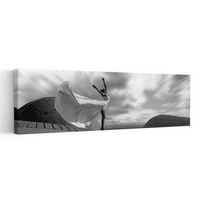 Freedom In Motion by Haim Ohayon - Wrapped Canvas Panoramic Print