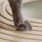 IRIS Plastic Enclosed Litter Box with Scoop-409141639-409141636