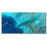 Blue Ocean Print by Beachy
