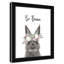 Le lapin est courage-48187588-48187569
