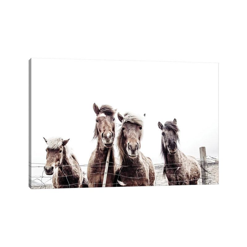 Reproduction de photo sur toile tendue, "Les chevaux de l'Islande, Faxi et Fifi" par Monika Strigel