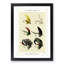 Bass Fishing Flies Versions 6 by Mary Orvis Marbury - Picture Frame Painting Print-55683606-55683610