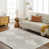 Beige/Gray/Ivory