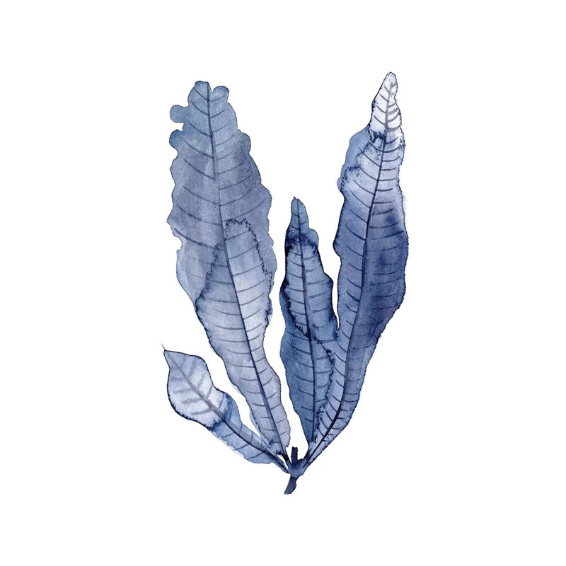 Seaweed Under Water IV by Melissa Wang - Wrapped Canvas Gallery-Wrapped Canvas Giclée