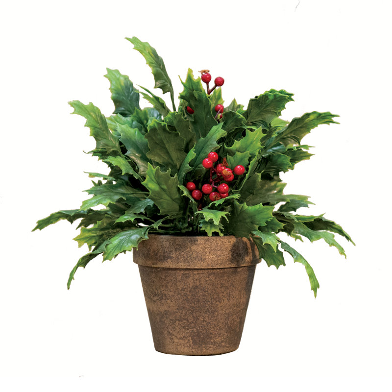 9 plantes