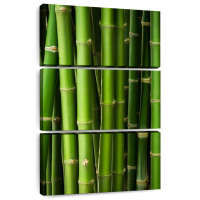 Harnek Bamboo Trunks