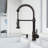 Edison 19" H 1-handle Pull-Down 2-Function Sprayer Kitchen Faucet-28294596-25293737