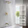 Dual Function Concealed Mixer Showers with Rough in-Valve