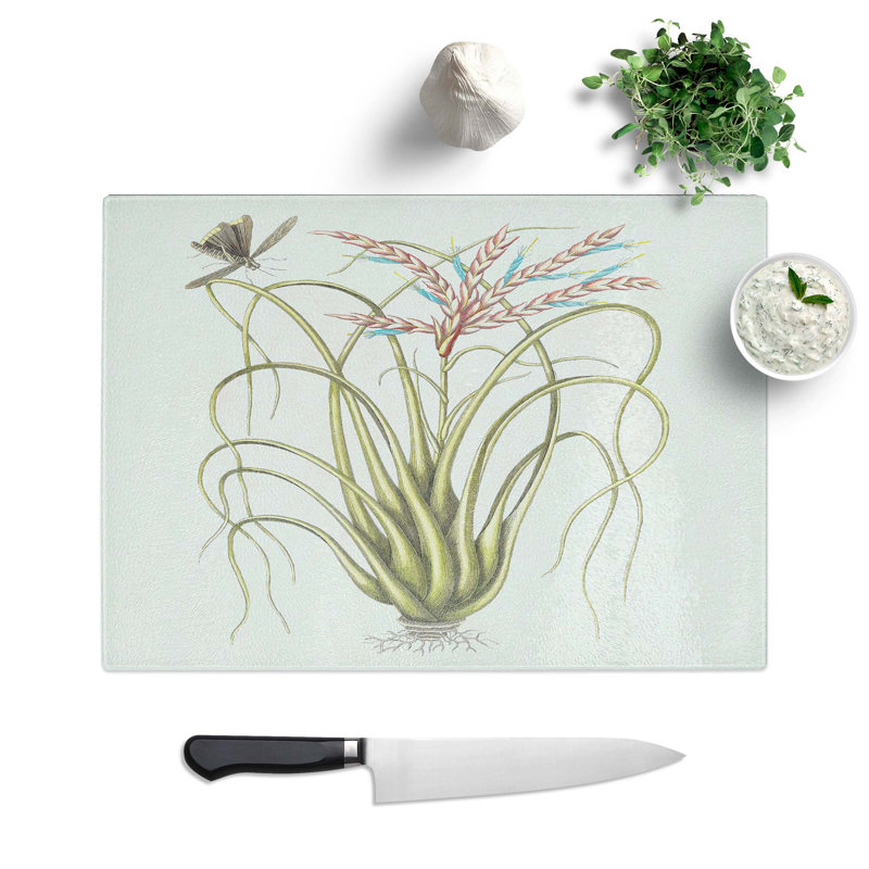 Glass Locust Upon Wild Pine by Mark Catesby Chopping Board, 39 cm W x 28.5 cm L