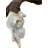 Kharlie Real Angora Ram Skull