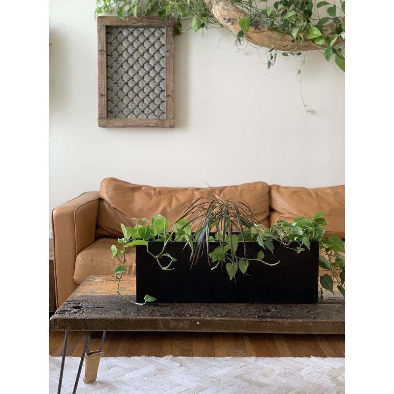 Cogburn Belmont Rectangle Planter Box, Black, 8" H x 24" W x 8" D