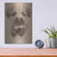 "Border Terrier" par Barbara Keith-2115157556