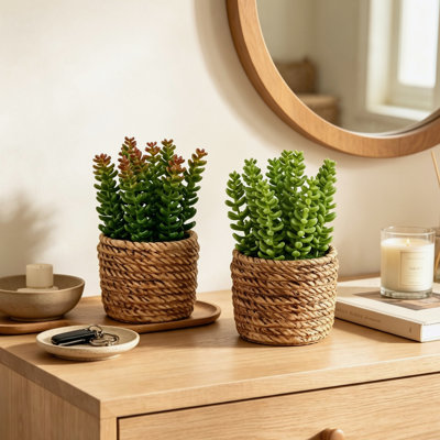 Ensemble de 2 plantes artificielles succulentes artificielles de 7 po de hauteur - feuillage texturé réaliste, pots de ciment brun rustique - décoration de table contemporaine pour bureau à domicile