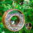 Barlitt Metal Hanging Decorative Bird Feeder-791449990