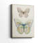 Papillon botanique I - Cavas enveloppés de galerie-1685597134