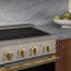 ZLINE Autograph 24 in. Satin Stainless Marino Induction Range with 3 Elements and Black Accents-1686372204
