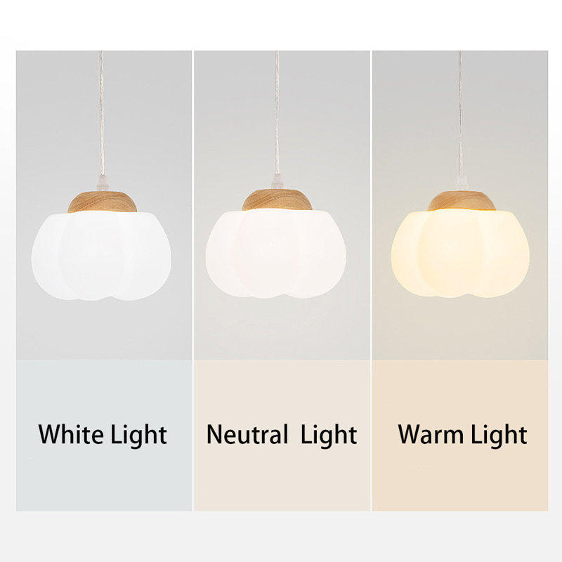 Modern Pumpkin Pendant Light