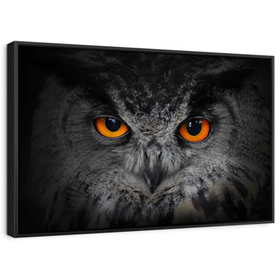 " Mesmerizing Gray Owl Canvas Print "