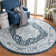 Delmer Performance Oriental Rug