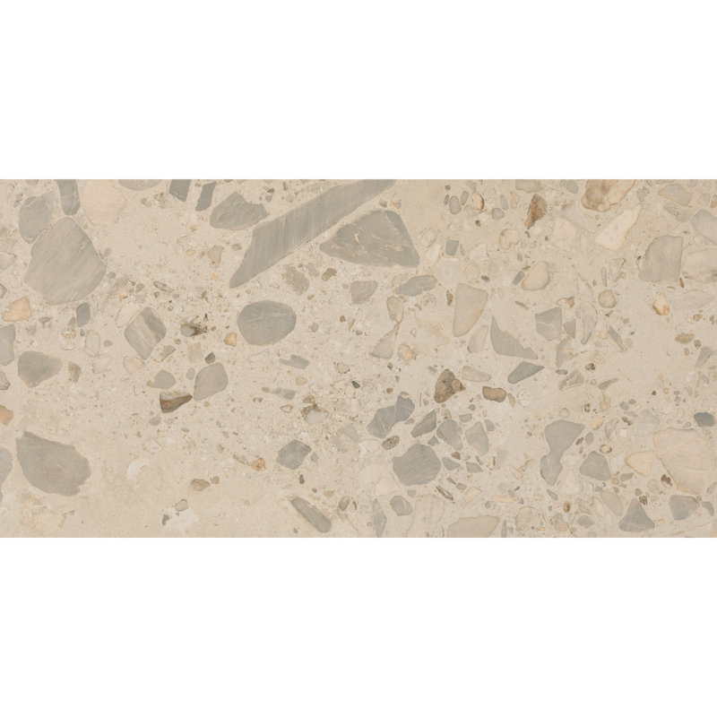 Daltile Sand and Stone 24 x 48 Floor Tile (2 PC Per Carton) (15.54 SQFT Per Carton), Basin