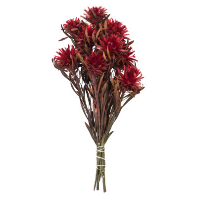 Vickerman Plumosum Stems