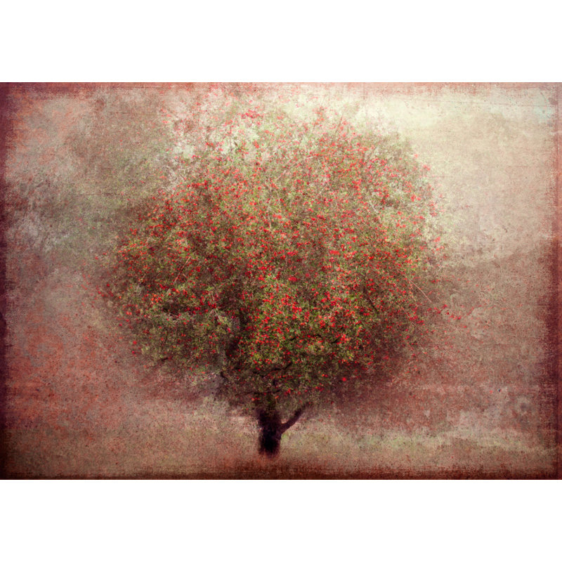 Wrapped Canvas Print, 50.8 cm H x 76.2 cm W