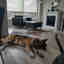 Photos des clients 1 de 1