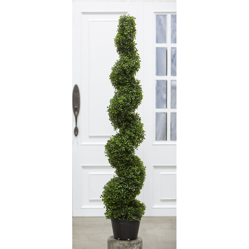 Topiaire en pot buis étang, H 60 po