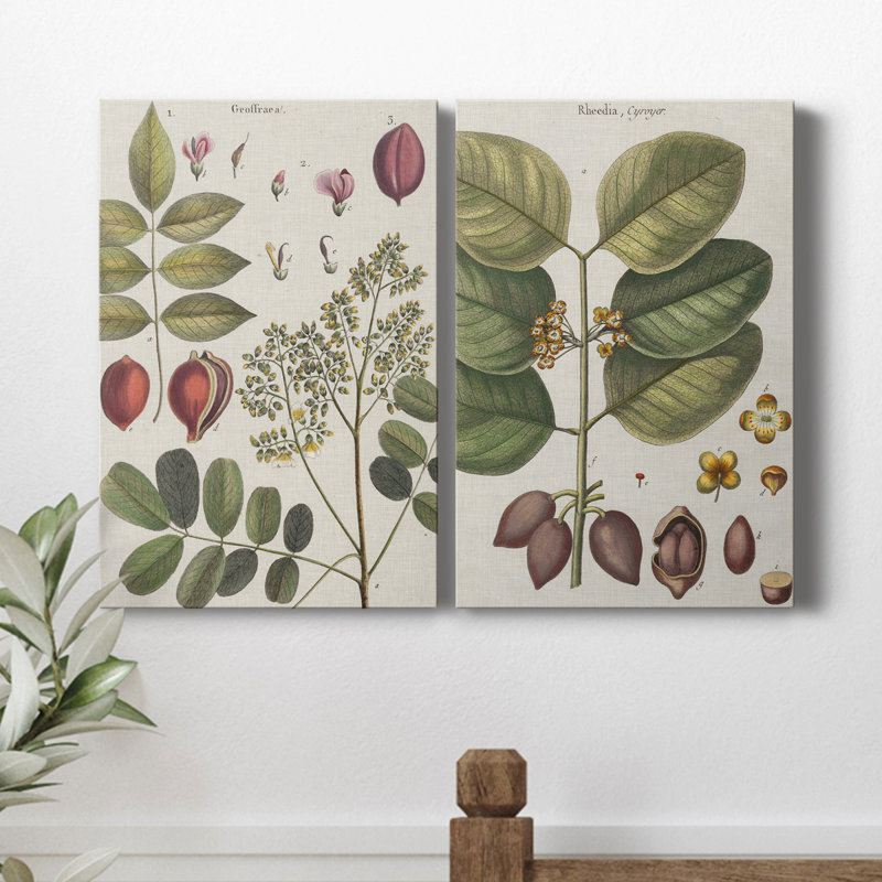 Exotic Botanique I - ensemble de 2 reproductions d'art sur toiles tendues, H 27 po x l 36 po x P 1 po