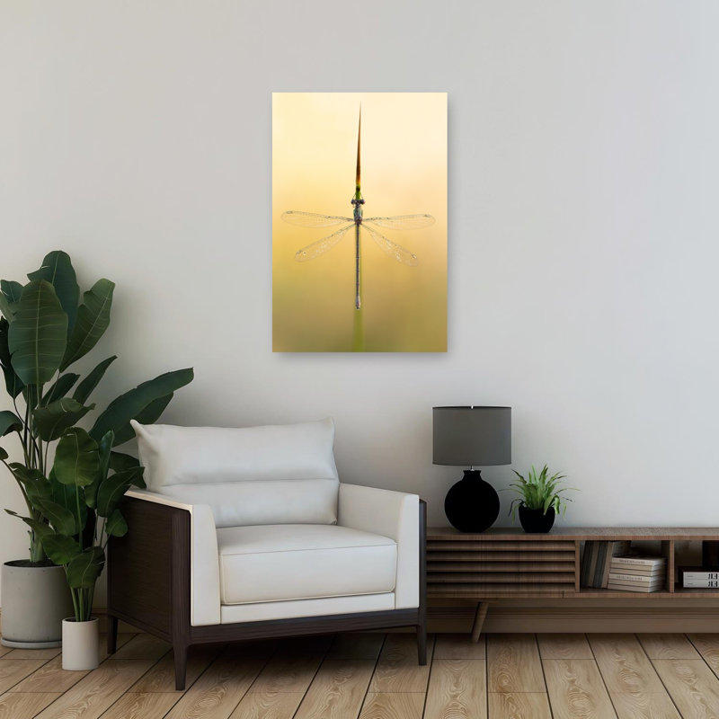 Delicate Green Damselfly Delicate Elegant Peaceful Animal Nature Wall Art Print 1 Piece Wrapped Canvas Wall Art