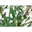 Artificial Olive Tree in White Decor Pot-684427475