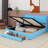 Lutishia Upholstered Panel Storage Bed-1073597032