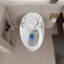 Ceramic One Piece Toilet, Single Flush 1.28 GPF Compact Egg Shape Toilet, Soft-Close Seat,Glossy White