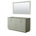 Light Green/Gray