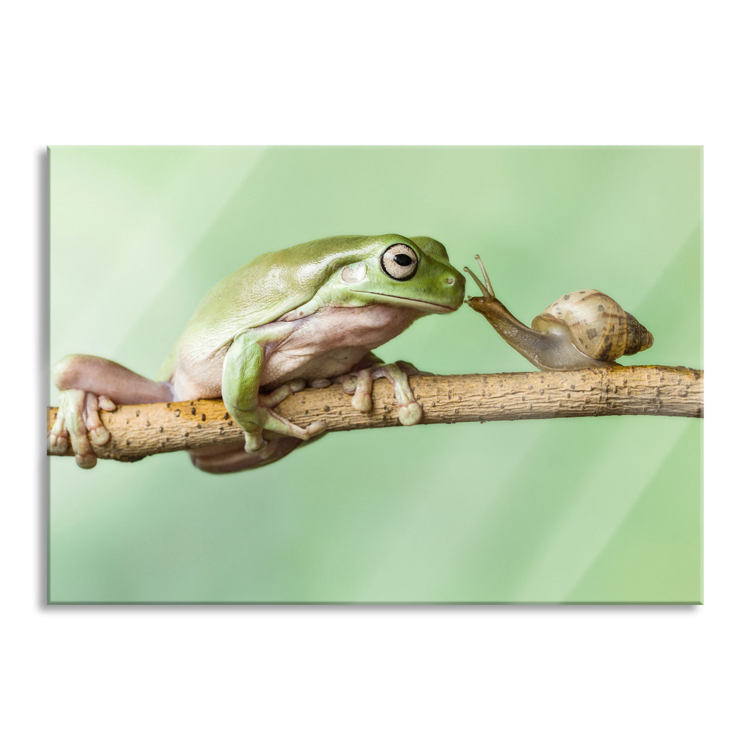 Glasbild Der Frosch und die Schnecke