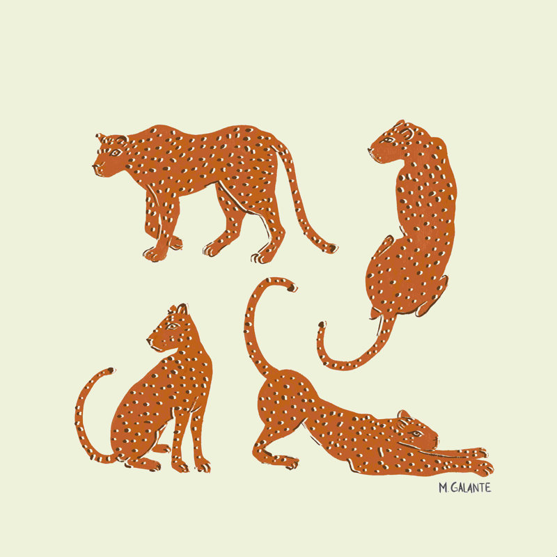 Leopard Block Party - peinture sur toile tendue, Orange, H 12 po x l 12 po
