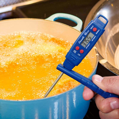 Plastic Digital Food Thermometer, 10.75 Inches, Blue