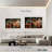 Mehar LA Night Rush-107936364