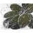 Green Flower Botanical Braided Polyester Placemat | Home Decor