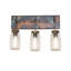 3 - Light Vanity Light