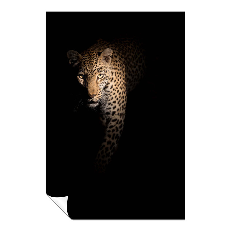 Panther Print Fine Art Prints - No Frame Print, 46cm H x 31cm W