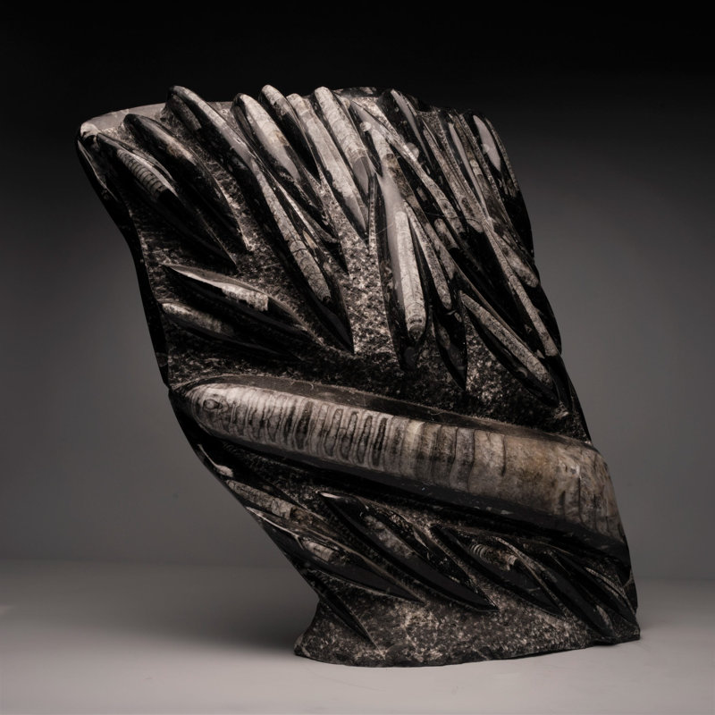 Sculpture orthocère