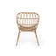Chaise Harlem