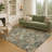 Machine Washable Indoor/Outdoor Chantille ACN2473 Global Rug-769965595-769965585